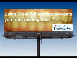 BILLBOARDY LEGNICA TEL.782 666 777