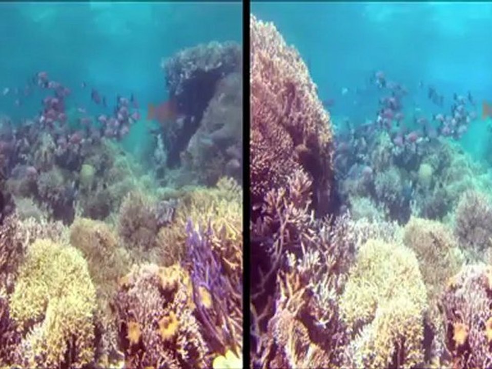 le-mag-3d-emission-9-septembre-2012-l-integrale-3d