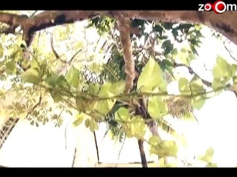 Blenders Pride Magical Nights Music CD's presents Designer Diaries - Wendell Rodricks - Episode 8