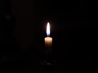 Plexippus (extrait) - TSD - 2012 project