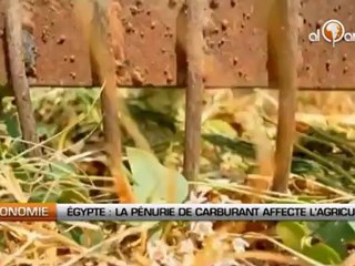 Egypte: La pénurie de carburant affecte l’agriculture