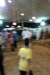 sakran cattle farm 2012 mandi karachi part 2