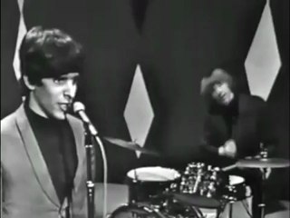 Beau Brummels - Laugh Laugh (Shindig)