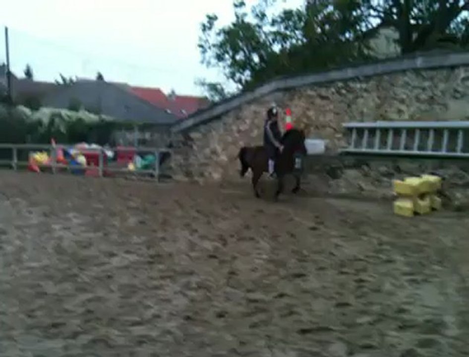 Liberte avec mon poney ♡