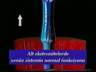 Prof.Dr.Kurşat Bozkurt, How Veins Work ?, www.varis.net, +90 212 215 53 43, +90 532 246 00 01