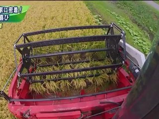 お元気ですか日本列島 動画 Dailymotion