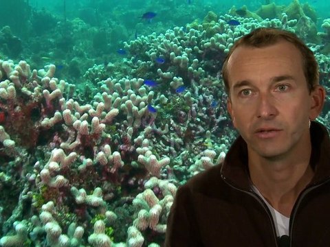 Paroles d'aires marines : Romain RENOUX