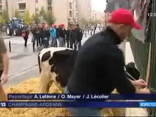 Manifestation "Jeunes Agriculteurs" à Chaumont (52)