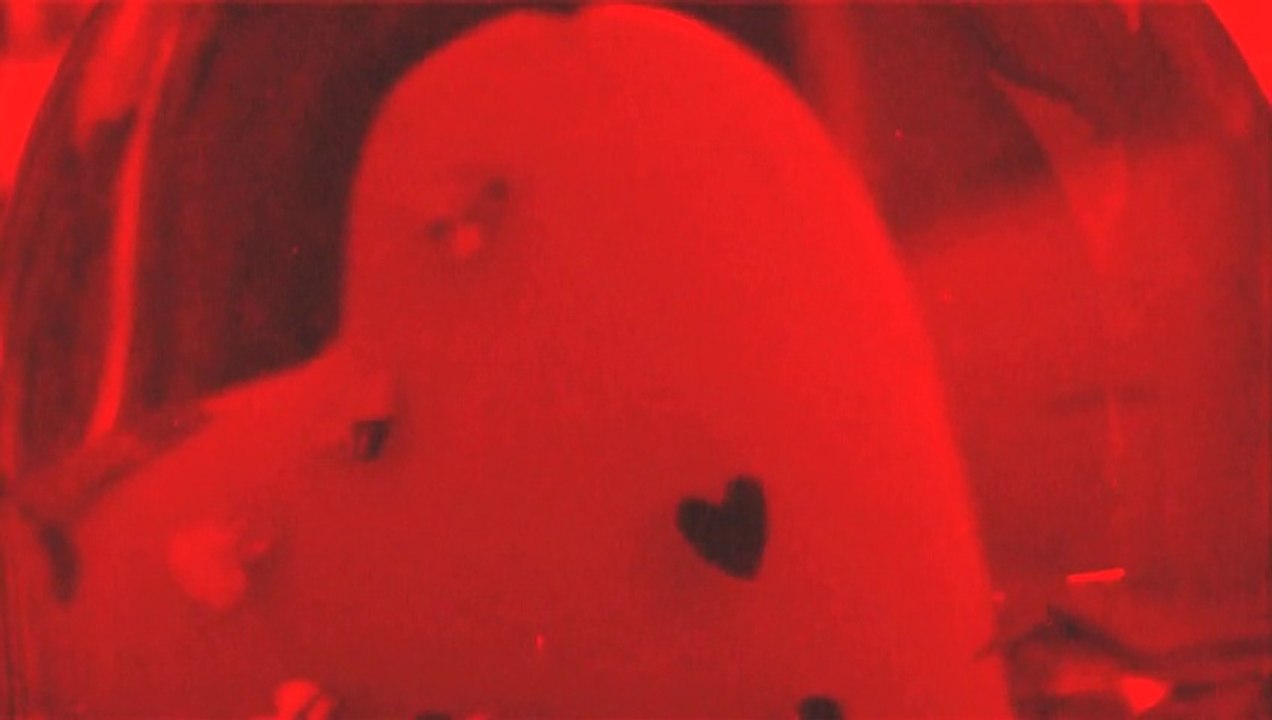 Le souffle de mon coeur en Miette