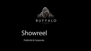 Showreel Corporate BuffaloCorp 2012
