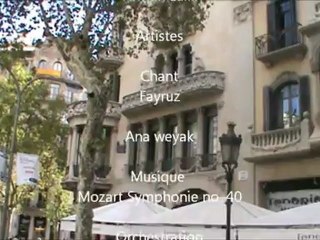 Antoni Gaudi architecte d'un autre monde