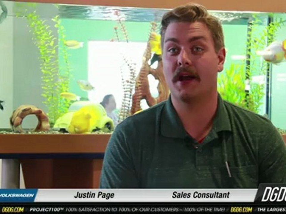 The DGDG Capitol VW Experience | San Jose, CA