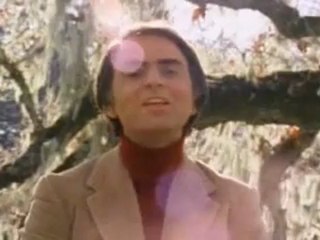 Then where did the big bang come from?