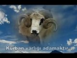 2012 Kurban TDV   Türkiye Diyanet Vakfı