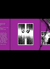 Expozitie grafica de carte-Liliana Nastas Bratescu