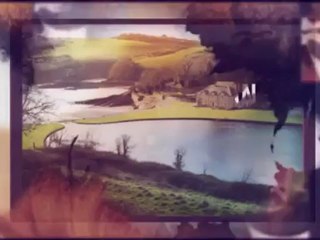 James Christian Landscaping & Tree Service - (321) 684-2200