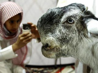 Mon plaisir MON mien zeubi !