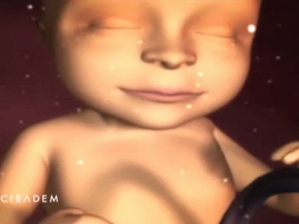 kadin.net - gebelik 4