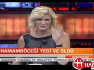 Hamam Böceği Yemek Yarışması