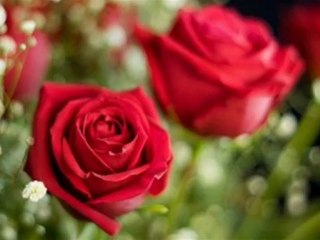 Cebrail Çalış ALLAHU ALLAH