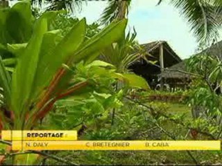 Le rapport de la chambre territoriale des comptes de la Province des Îles