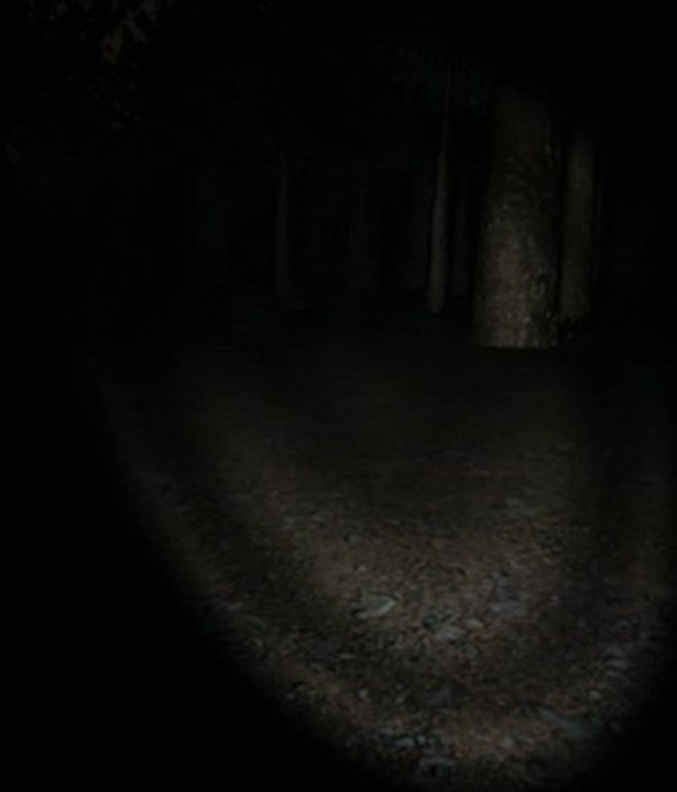 slender