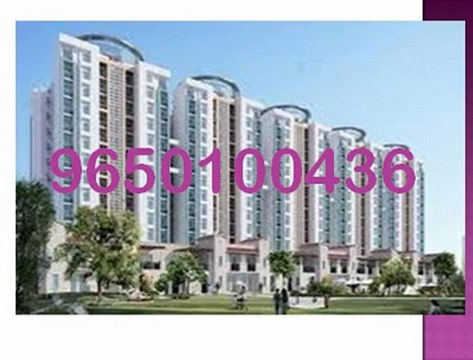 09650100436 - ATS Gurgaon Sector 104, ATS TRIUMPH