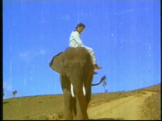 Nadakatum Raja - Kamal Haasan Tamil Song - Ram Laxman