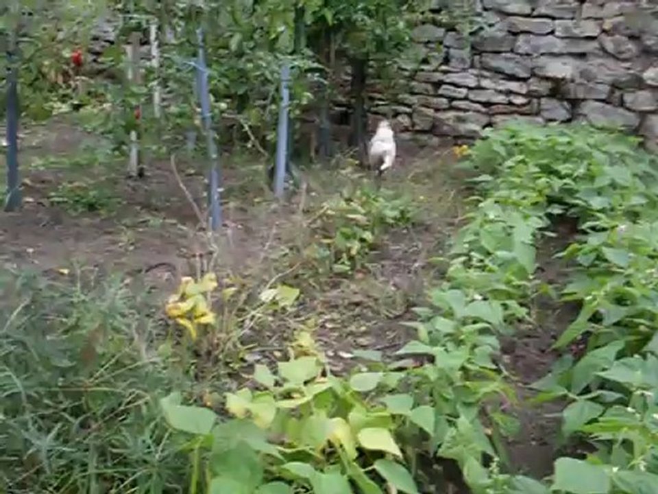 BÉBÉS DAKOTA 09.10.2012