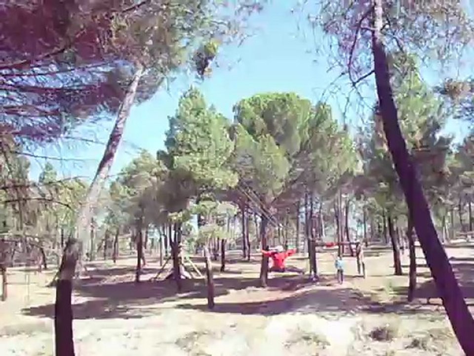 4º Primaria Aulas Bilingües