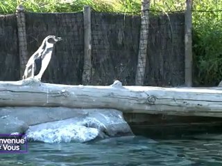 Bienvenue Chez Vous du 10 octobre 2012 Partie 2