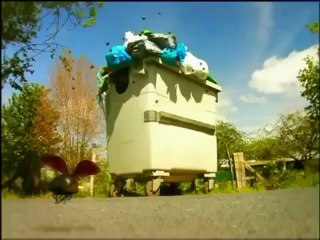 Minuscule - 01 - Ugur bocegi (The Ladybug)