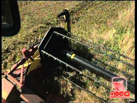 Napoli - Censimento sull'agricoltura (10.10.12)