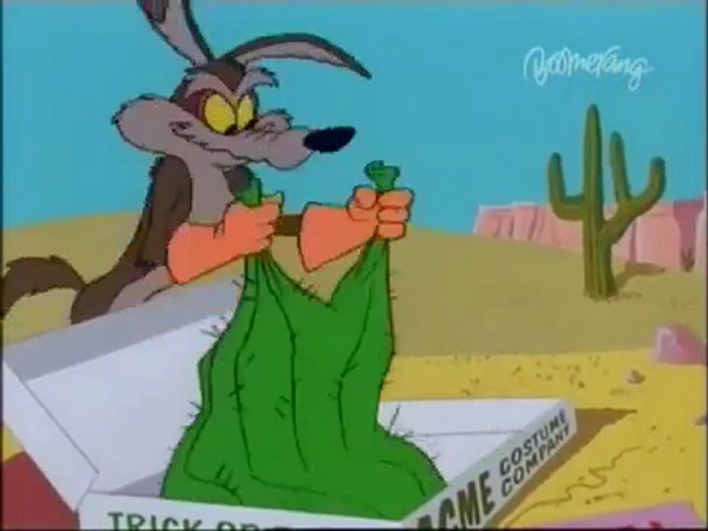 wylie coyote and the roadrunner shoes