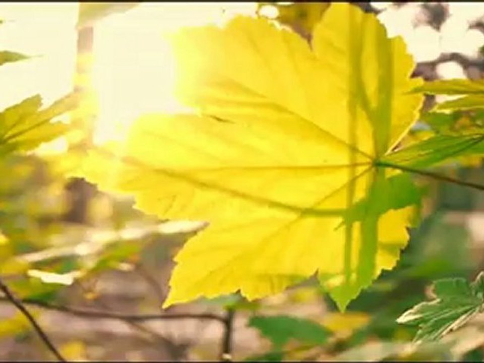 Zaak Tanjawi Feat. L'Rapace - Destin ( Clip )