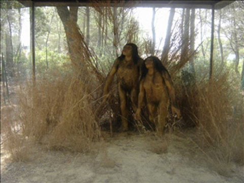 ORIGINE ET EVOLUTION DE LHOMME