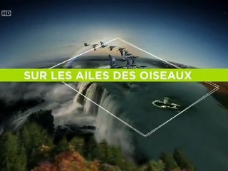 sur les ailes des oiseaux - l'amérique du sud