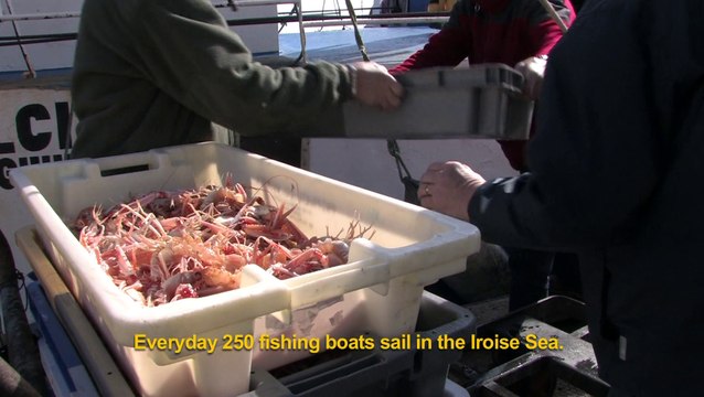 Le Parc naturel marin d'Iroise en actions