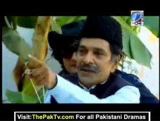 Haryaley Banney Comedy Drama Episode 28 By Tvone - Single Link