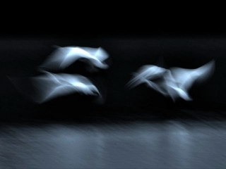 Jerzy Połomski - Co mówi wiatr