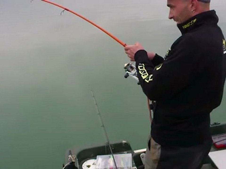 silure 136cm sur carrot stick