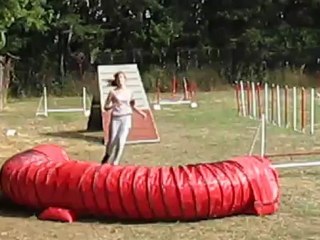 Concours agility Elne
