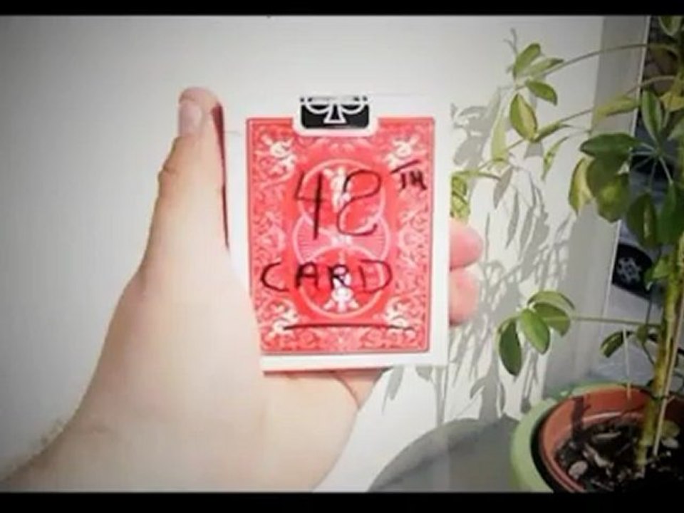 Ink (Gimmick and DVD) by Mickael Chatelain and Paul Harris - Magic Trick