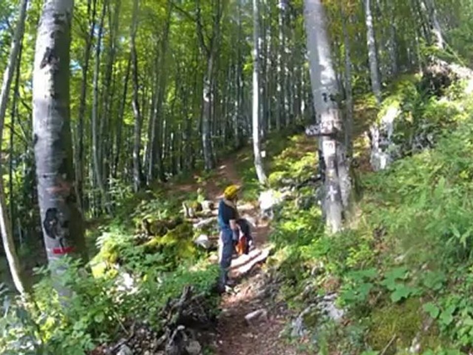sapeyvcourte