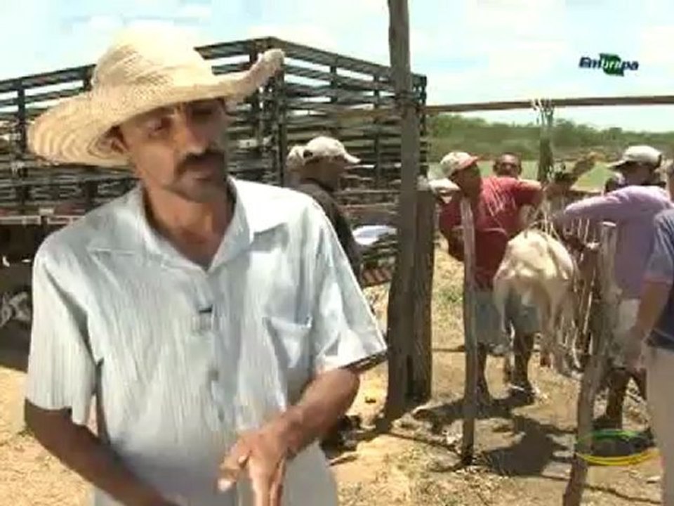 Dia de Campo na TV do dia 13-10-2012