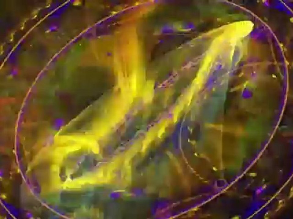 Sophrologie Méditation Relaxation Détente