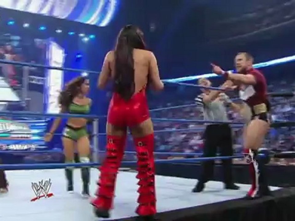 AJ Lee vs Brie Bella