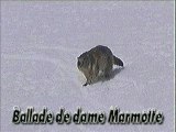 Ballade de Dame Marmotte (Daniel)