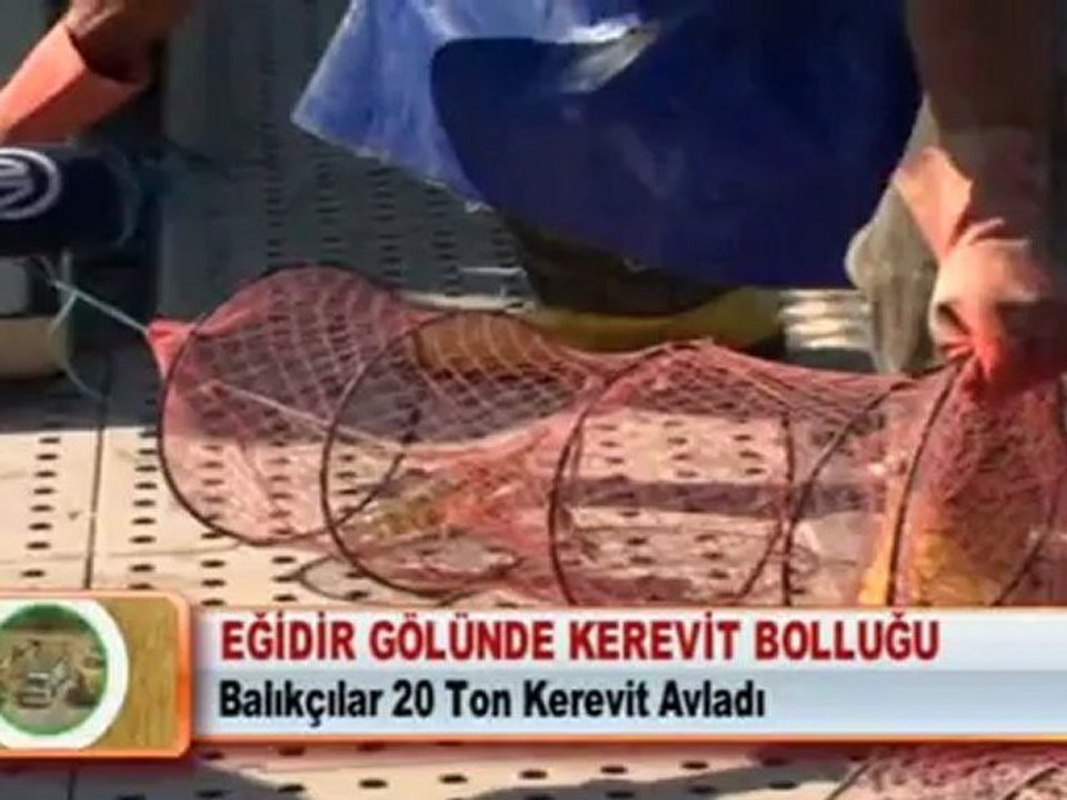EĞİDİR GÖLÜNDE KEREVİT BOLLUĞU