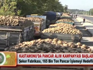 KASTAMONU’DA PANCAR ALIM KAMPANYASI BAŞLADI